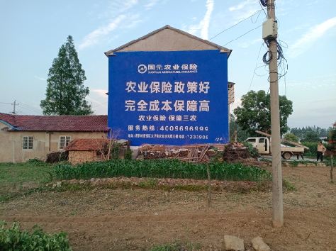 方城墙体广告的优劣势你知道吗？